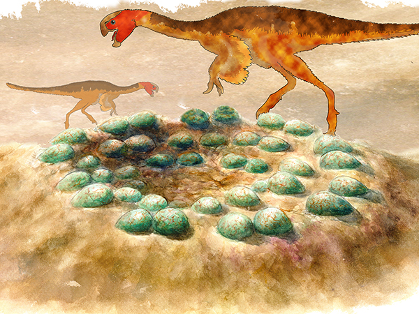 Neutron source enables a look inside dino eggs