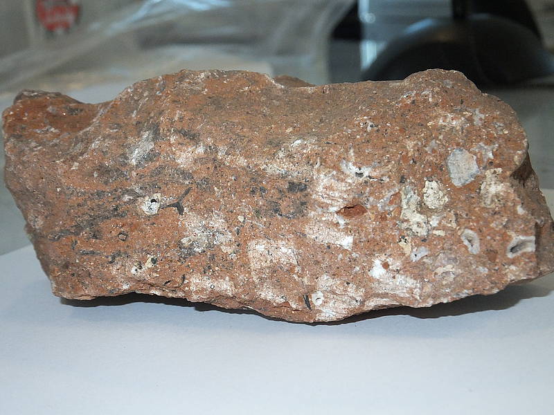 Neutrons reveal enigma in archeology and paleontology
