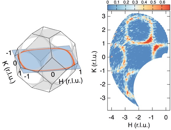 Neutrons Prove the Existence of “Spiral Spin-Liquid”