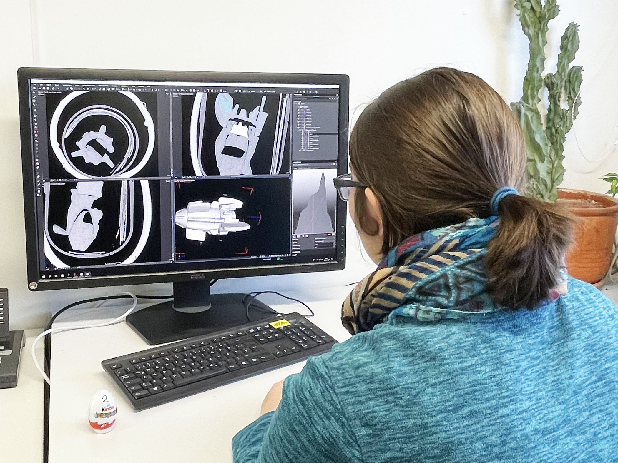Ever radiographed a surprise egg? - An internship at the MLZ