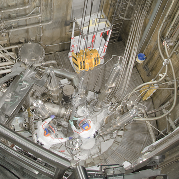Federal Ministry of Health supports radionuclide production at research neutron source