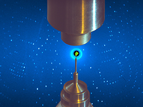 Conference: Neutrons for the Life Sciences