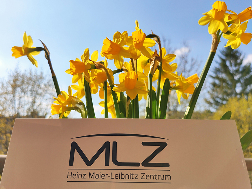 Easter greeting