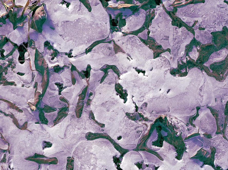 Neutrons show, how water moves in permafrost