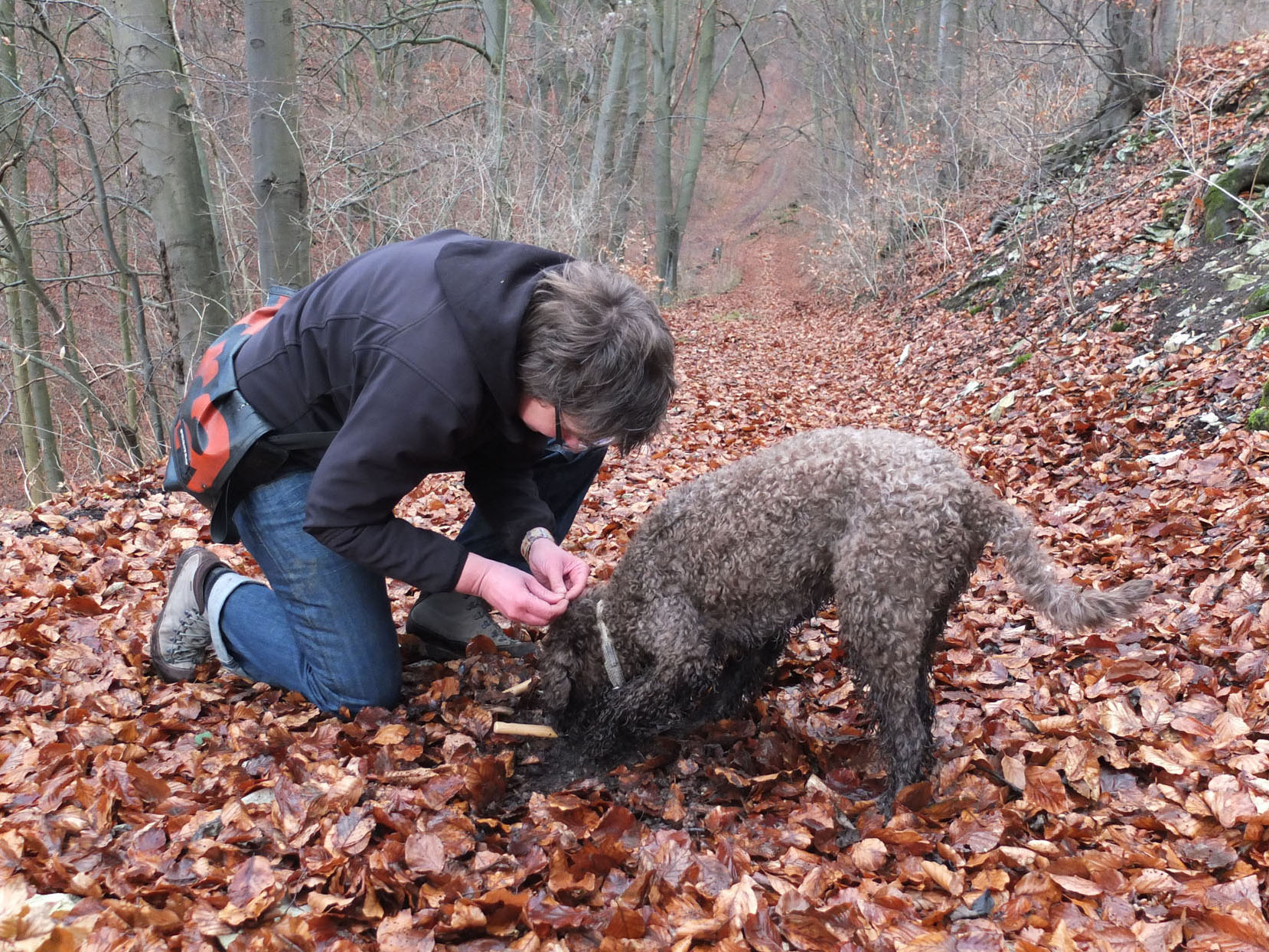 Bad times for truffle counterfeiters. Neutrons detect trace elements in popular edible mushrooms 