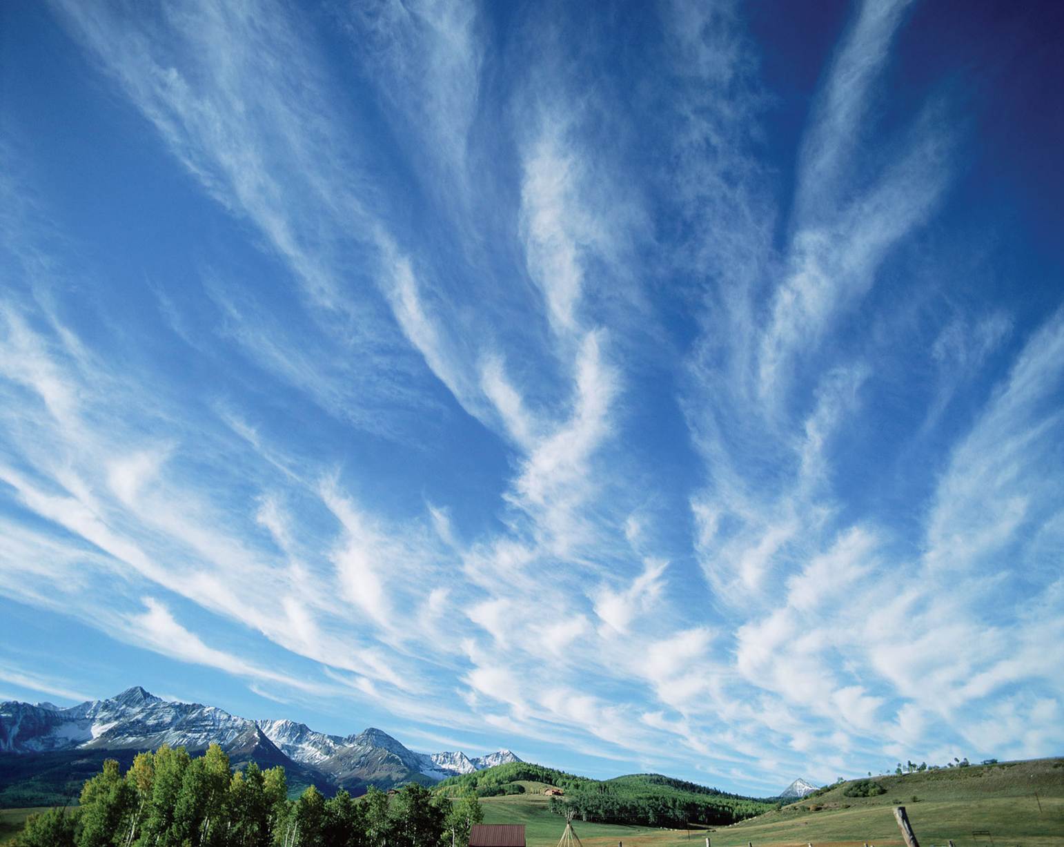 Crystalline structure of ice clouds and their formation clarified
